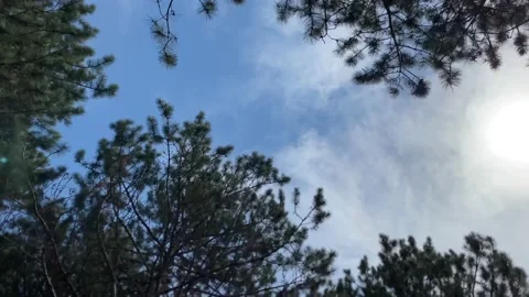 View of the sky. 360 view of the sky 스톡 동영상 223398313