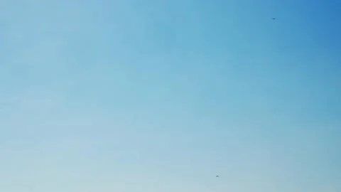 View to sky with airplane while landing in shilluate Stock Footage 144621036