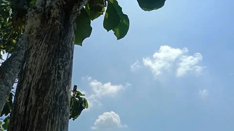 A view of the sky and clouds Stock Footage 239892657