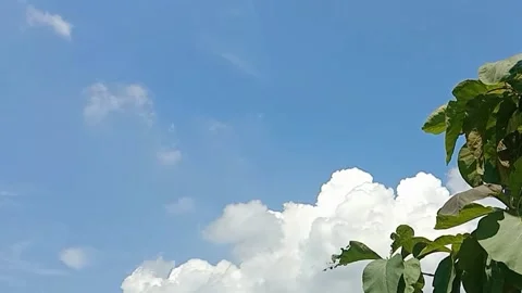 A view of the sky and clouds Stock Footage 239892723