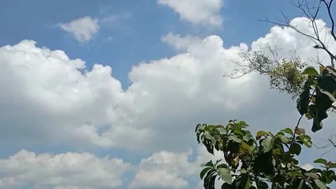 A view of the sky and clouds Stock Footage 239892961