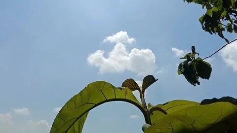 A view of the sky and clouds Stock Footage 239893192