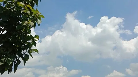 A view of the sky and clouds Stock Footage 239893313