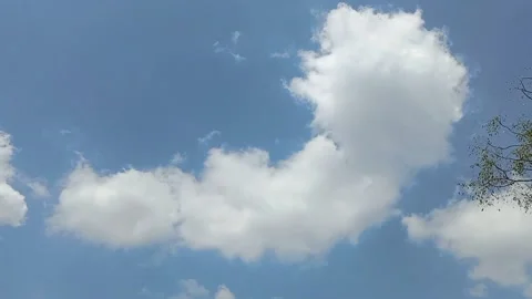 A view of the sky and clouds Stock Footage 239894013