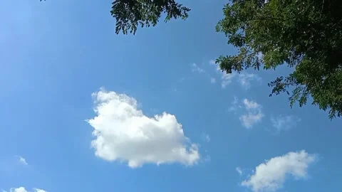 A view of the sky and clouds Stock Footage 241202196