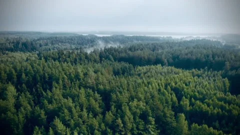 View of the sky and forests of Borneo from above Video stock 274322079