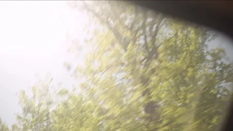 View of the sky and treetops from the window Stock Footage 154053315