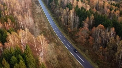 View from the sky to a black car driving along the road through the forest. Stock Footage 105200799