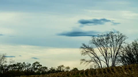 View of sky, cloud and tree Stock Footage 50176445