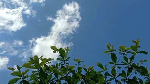 The view of the sky full of white clouds Stock Footage 241059261