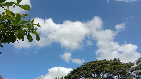 The view of the sky full of white clouds Stock Footage 241059290
