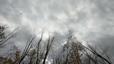 View of a sky with gray clouds and completely bare trees, Stock-Footage 167673290