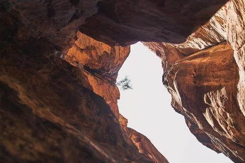 View of the sky from inside an imposing red canyon in 2024 Photos