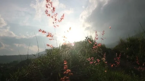 View of the sky at sunset on Mount Guntur, Garut, West Java Stock Footage 300889846