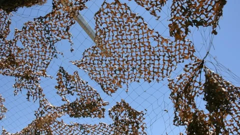 View of the sky through a camouflage net Stock Footage 155865137