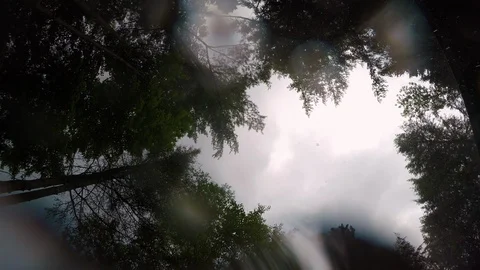 View of the sky through the trees as rain drops fall on the camera Stockbeeldmateriaal 90097153