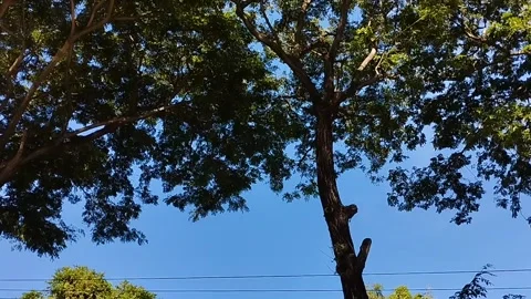 The view of the sky today is very bright Stock Footage 229537077