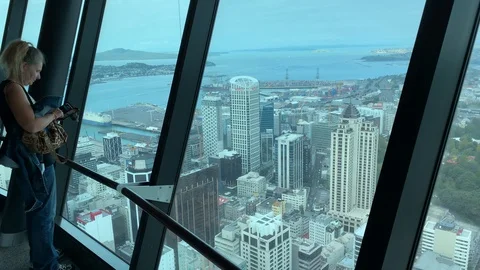 View from the Sky Tower in Auckland. Stock Footage 117349702