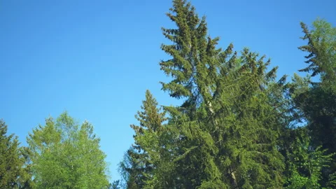 View of sky on the way from car window. Beautiful sky by side view. Blue sky  Video stock 171915669