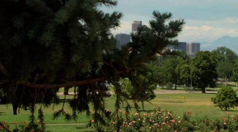 View of skyline and garden Stock Footage 55570561