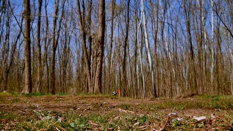 View on the sleddogs racing with their trainer on a scooter during the event Stock Footage 106106085