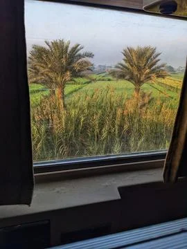 View from Sleeper Train Window in Egypt Fotos de archivo
