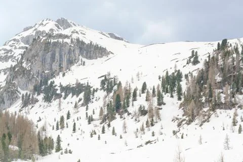 View of the slope of the mountain i Stock Photos