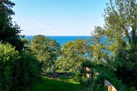 View from the slope through the trees to the Baltic Sea. In Lohme on the isla Stock Photos