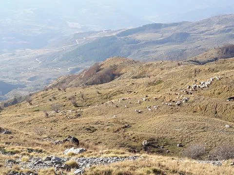 View on the slopes of the mountains Stock Photos