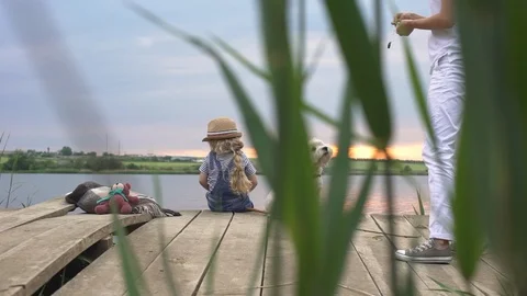View in slow motion through green reeds of adult man with little girl and white Stock Footage 91223402