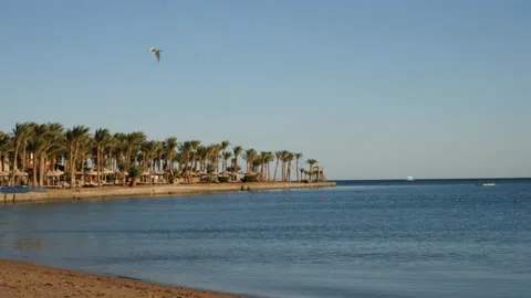 View of a small bay at the sea. Palm trees. 4K Video stock 229894232