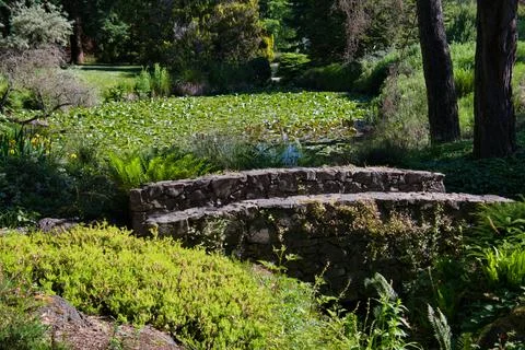 A view of the small bridge in the gardens. Stock Photos