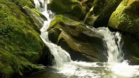 View of a small cascade waterfall in the Black Forest in a beautiful landscape Stock Footage 128713440