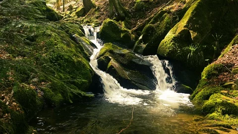 View of a small cascade waterfall in the Black Forest in a beautiful landscape Stock Footage 128713463