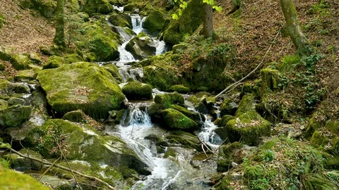 View of a small cascade waterfall in the Black Forest Stock Footage 128714213
