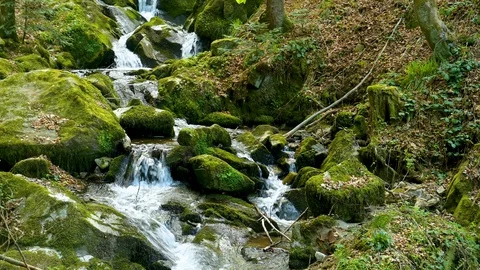 View of a small cascade waterfall in the Black Forest Stock Footage 128714298