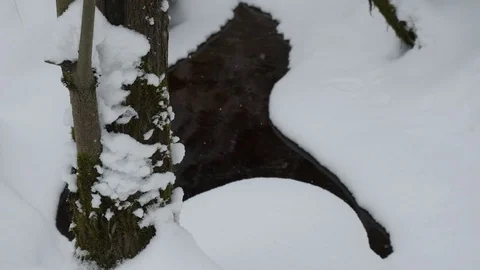 View of a small creek in a winter forest, 4k footage Video stock 70453696