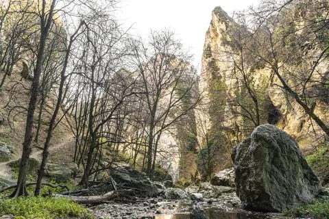View of the small gate Stock Photos