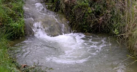 View of a small gully stream cascade and pool Stock-Footage 264966332