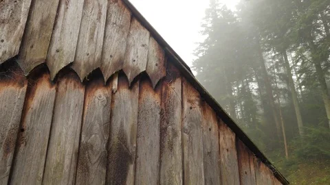 View of Small Gully From Top of Protective Wall Dense Coniferous Forest is Stock Footage 71641547