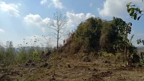 View of a small hill with natural wild vegetation. Stock Footage 340058750