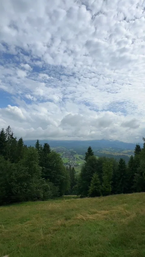 View from a Small Hill Over Forest Landscape in the Tatra Mountains (Tatry) Video stock 331066557