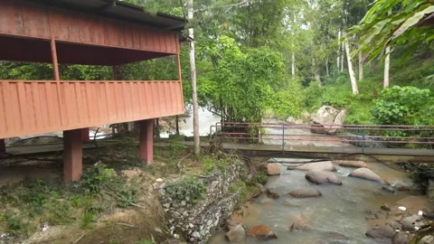 View of small house, river and jungle in Raub, Pahang Stock Footage 194746768
