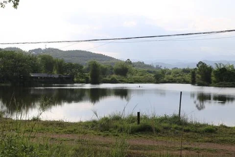 The view of the small lake in front, surrounded by green grass and trees on.. Stock Photos