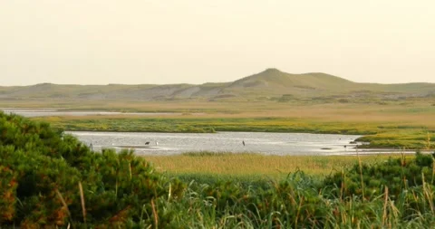 View of a small lake surrounded by mountains near the sea. Stock Footage 231220493