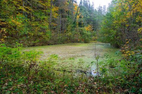 View of the small pond called Lake of Love near Luhacovice, Czech Republic,.. Stock-Fotos