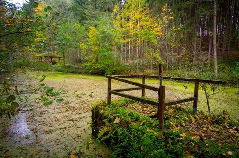 View of the small pond called Lake of Love near Luhacovice, Czech Republic,.. Stock-Fotos