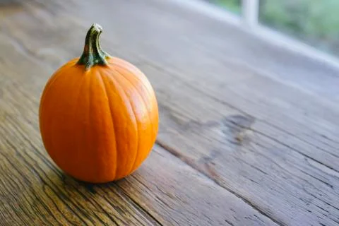 View of Small Pumpkin with Copy Space on the Side Stock Photos