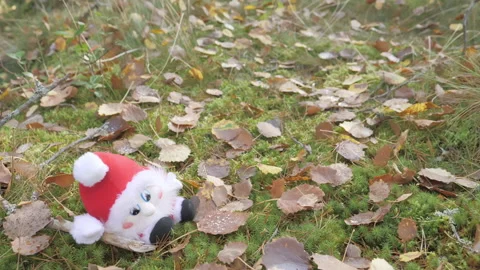 The view of the small red gnome stuff toy on the forest ground in Rovaniemi F Video stock 141332482