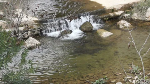 View of a small river (1) Stock Footage 35752903